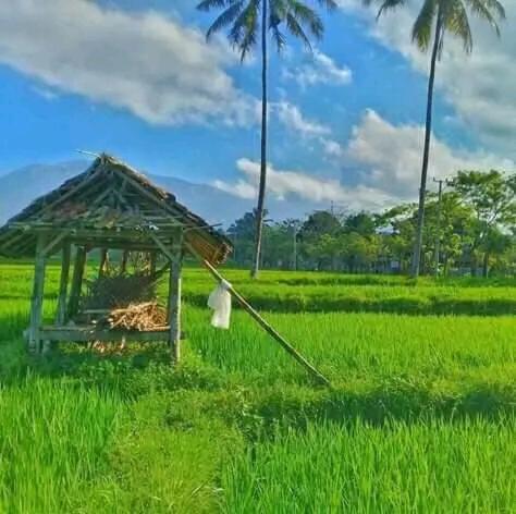Banana Bungalows Tetebatu Exterior foto