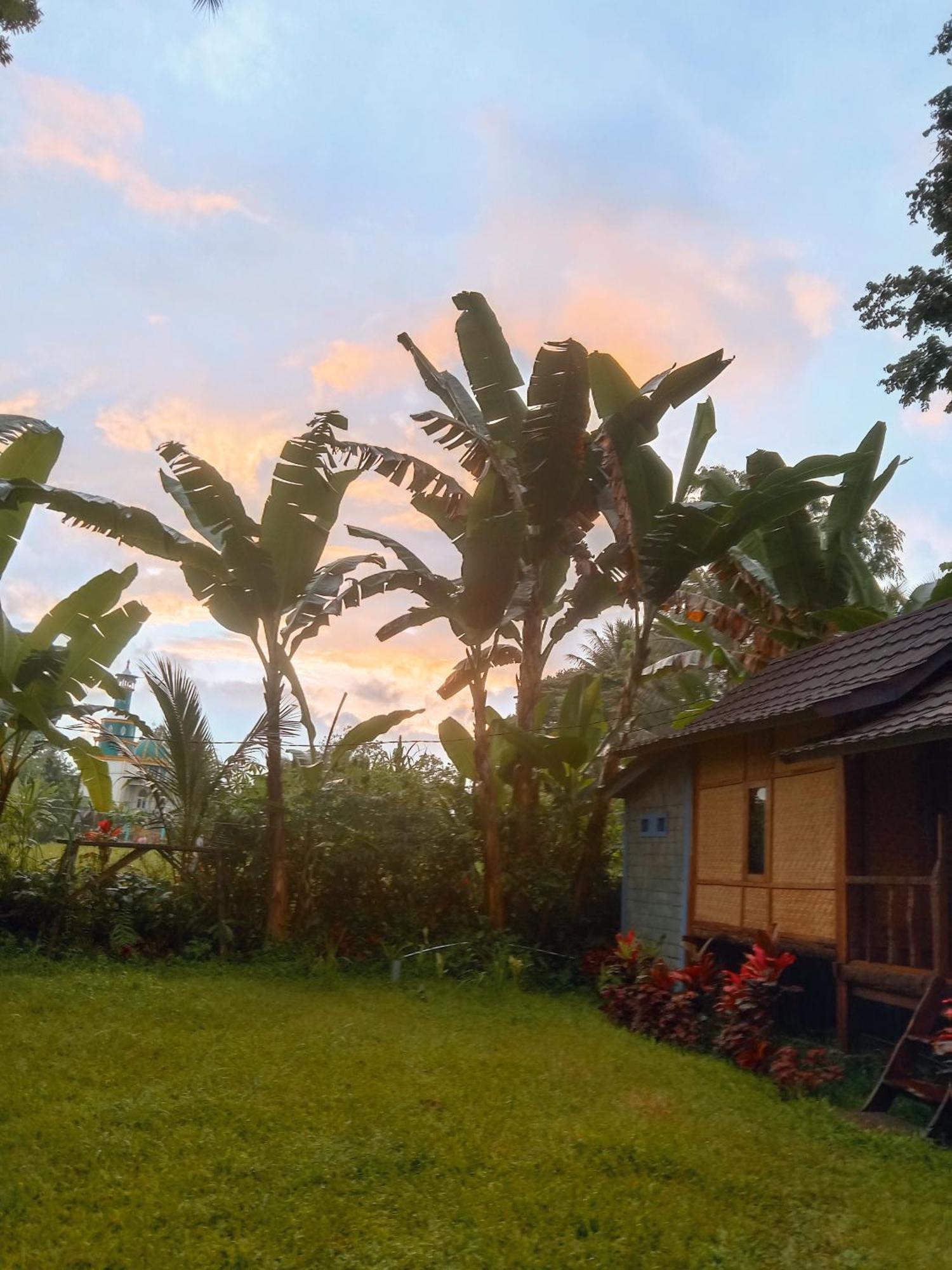Banana Bungalows Tetebatu Habitación foto