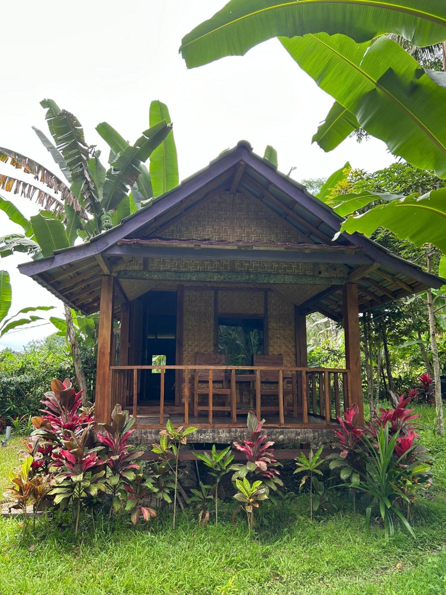 Banana Bungalows Tetebatu Habitación foto