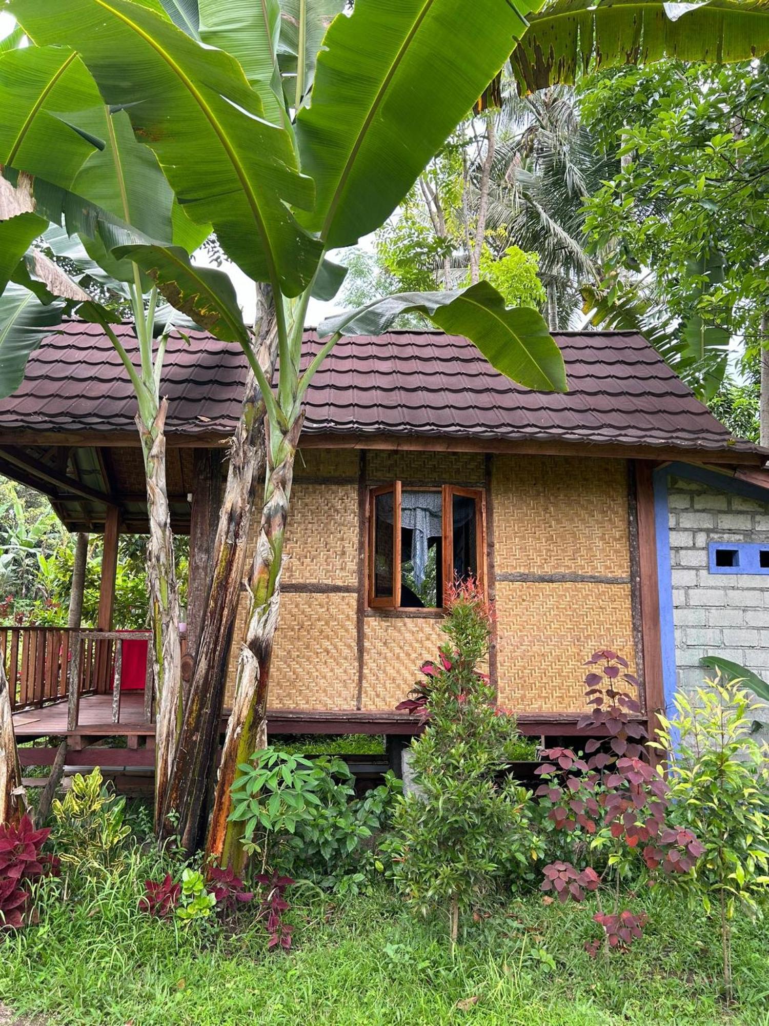 Banana Bungalows Tetebatu Habitación foto